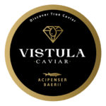 VISTUALA LOGO-01