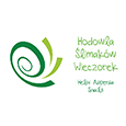hodowla slimakow wieczorek